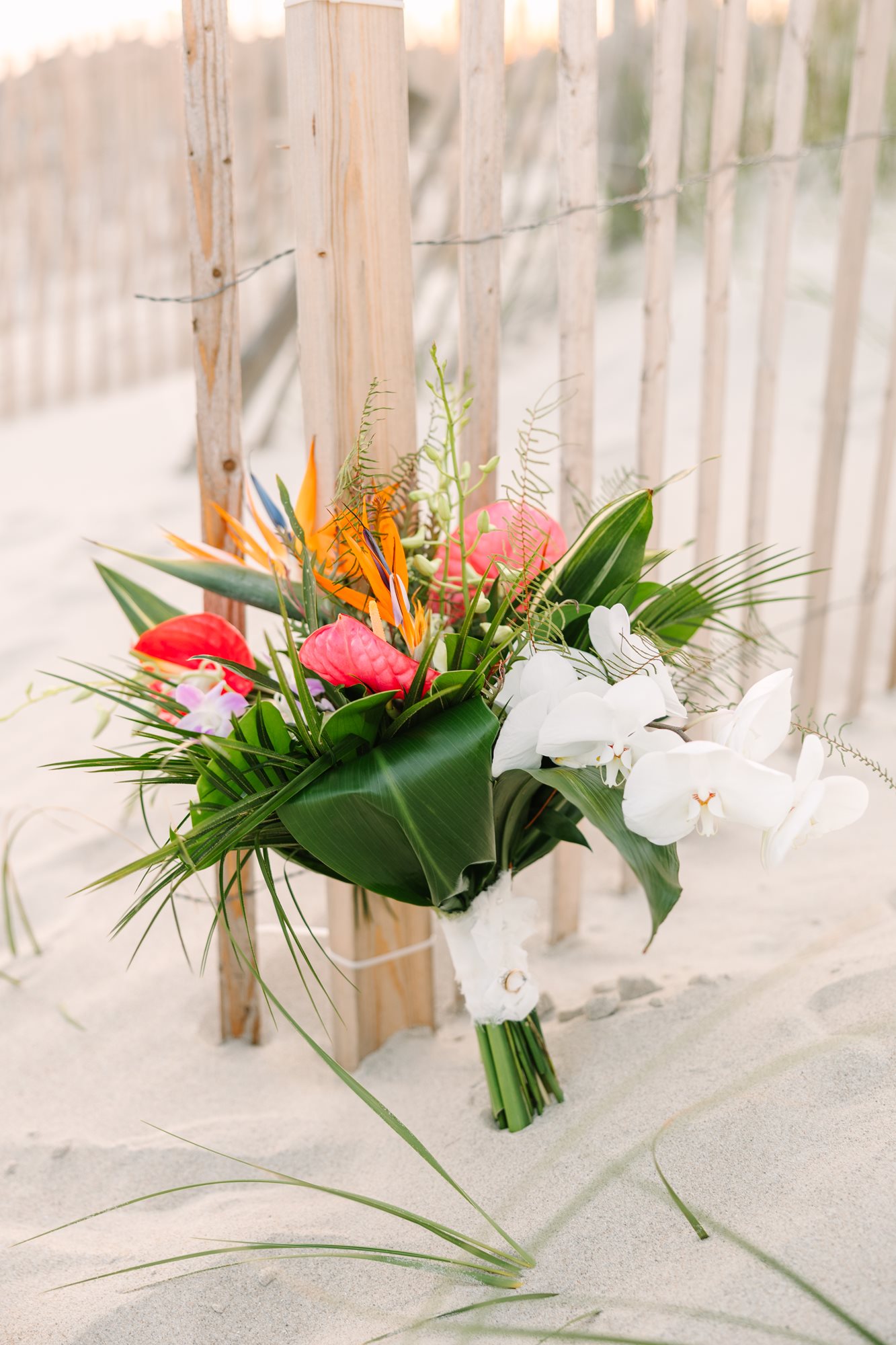 Batchelor_Wedding-617