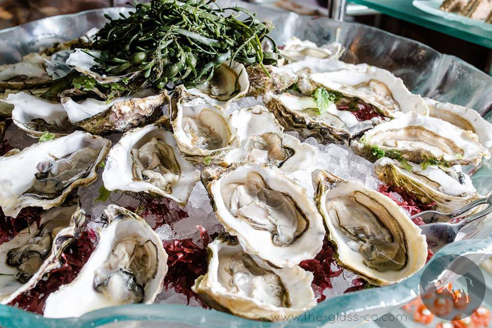 Oyster_Display